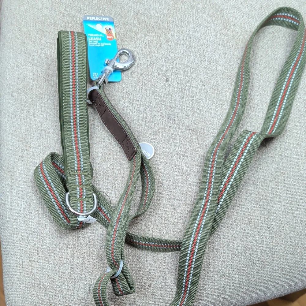 Vibrant Reflective Dog Leash New